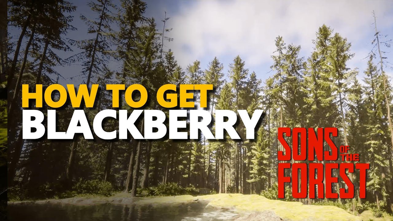 Blackberries - Sons of the Forest - EIP Gaming