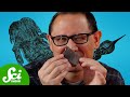 Eurypterids and Their Fossil Evidence