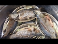 Khmer food   fried meatballs fish boiled noodle  123netfishing