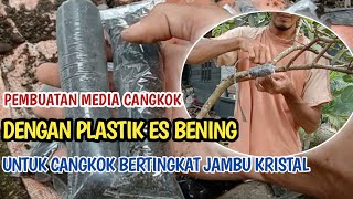 1. PEMBUATAN MEDIA-TEKNIK CANGKOK BERTINGKAT JAMBU KRISTAL DENGAN PLASTIK ES