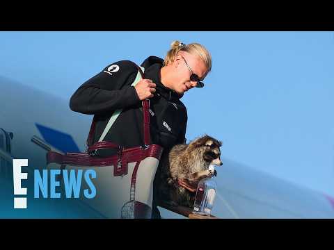 Video World Cup: Erling Haaland Took Home Taxidermy Raccoon—Because Why Not | E! News