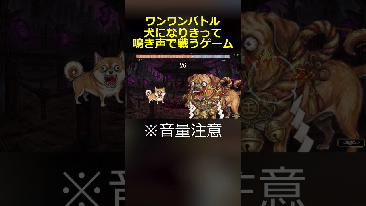 とてもピースフルな犬達の競い合い　ワンワンバトル#shorts