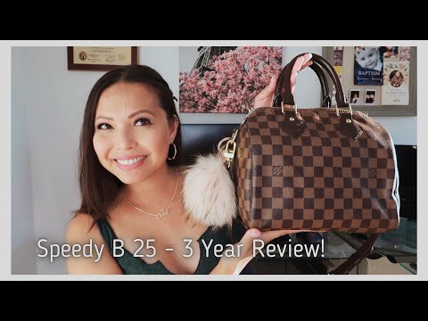 Louis Vuitton Speedy B 25: 1 YR Review + What Fits + LV Chit Chat 