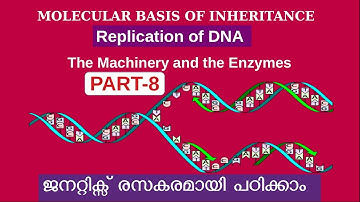 Molecular Basis of Inheritance|Part 8|DNA Replication|Machinery and Enzymes|Class 12|Zoology