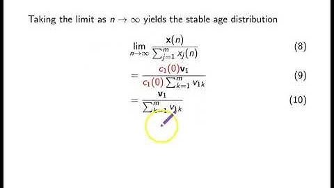 MATH 3150 Leslie Models Part 2