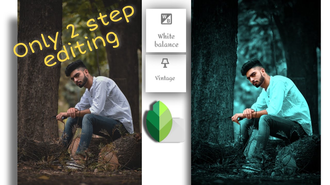 Snapseed Background Change Photo Editing | Snapseed Blue Tone Photo Editing |Snapseed Vintage Edit