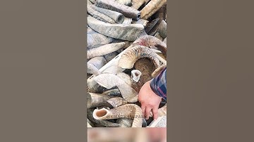 Cách người Trung Quốc biến sừng cừu thành lược massage #shorts