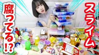 のってんのスライムが腐ってた 全スライム紹介とパッキングで引っ越しの準備するよ！！