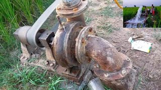 very old Petter engine diesel mechanic working with tube well pump 4 inch delivery water pump 4/5