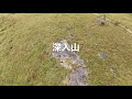 2020/10/11 深入山 登山 のむのむ