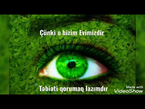 Video: Emerson təbiəti niyə yazdı?