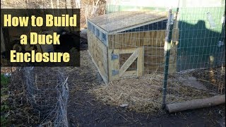 How to Build a Small Animal &amp; Duck Enclosure