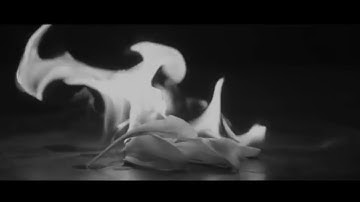 [fmv] bts | autumn leaves
