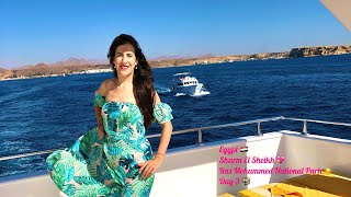 Download Lagu EGYPT. Sharm El Sheikh. Day 3. Ras Mohammed National Park MP3
