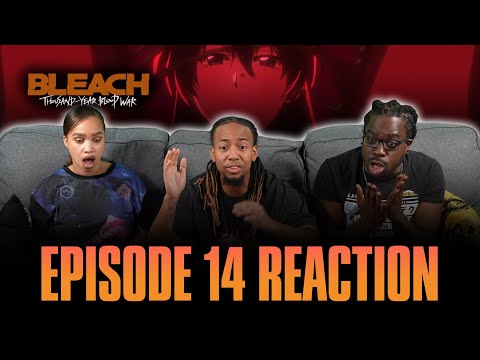 The Last 9 Days | Bleach TYBW Ep 14 Reaction [Ep 380]
