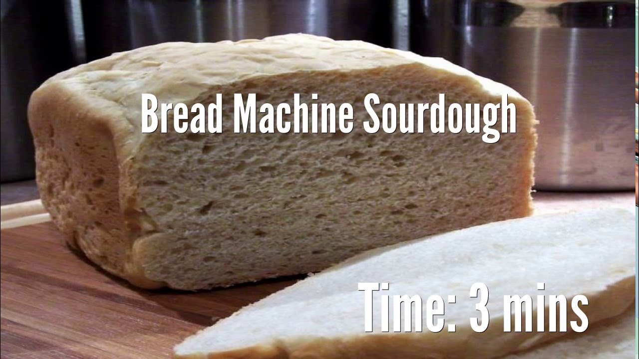 24+ Sourdough In A Bread Maker Pictures - Sourdough Bread Starter