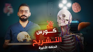 آخر حلقة من كورس أساسيات التشريح | Basic Anatomy | Respiratory system