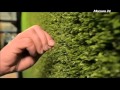 Как производится искусственная трава в компании "Оптилон"