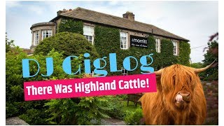 DJ Gig Log There was Highand cattle! DJ Gig Log There was Highand cattle!