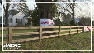 East Charlotte homeowners start petition to save heritage tree