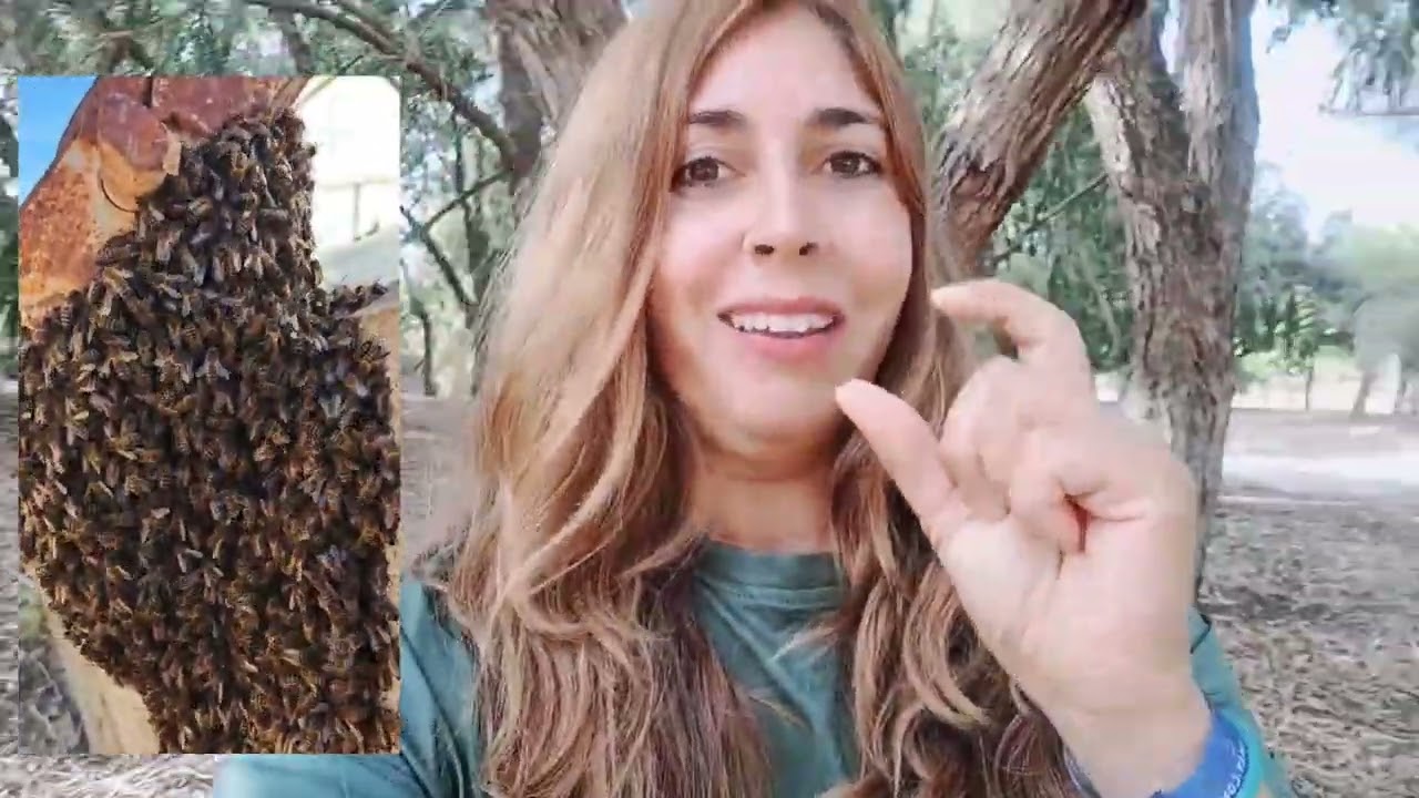 Hay veces que se tienen dudas pero analizando a fondo lo tuve claro 😉