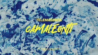 TELEMAGENTA - Camaleonti