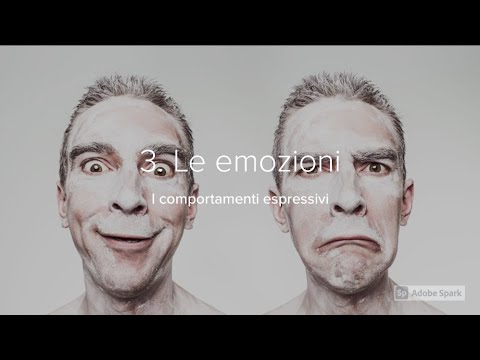 Video: Espressione Delle Emozioni In Una Relazione