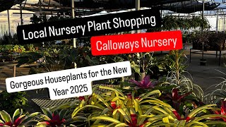 Big Box Store Plant Shopping Alternative Shop Local Calloways Nursery New Houseplants for 2025