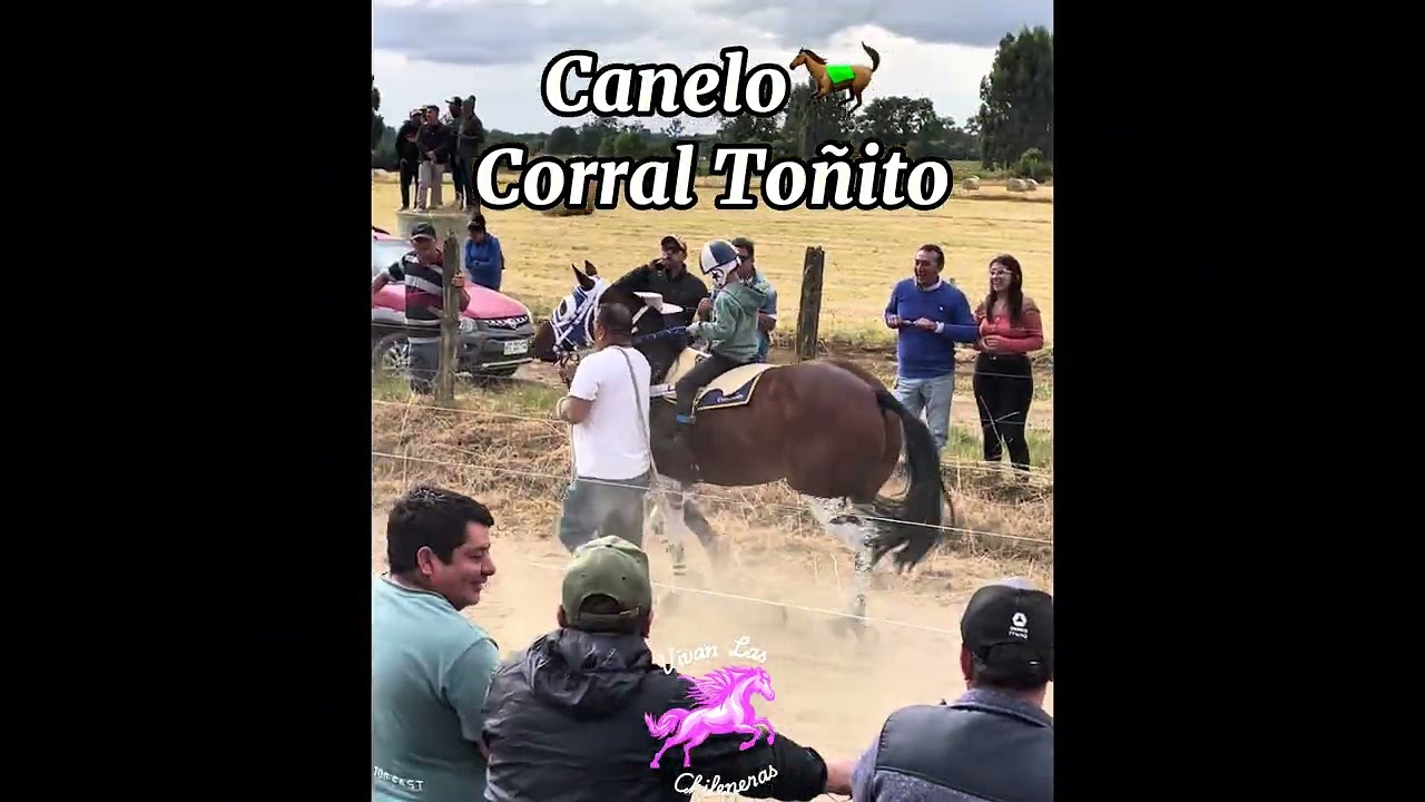Manchado🆚Canelo 📍Centro Hipico Casma 🏇26/01/2025