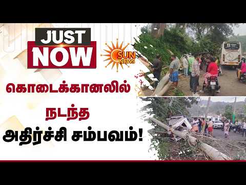 கொடைக்கானலில் நடந்த அதிர்ச்சி! Roadside Tree Branch Snaps Falls In Car | Tourist Place | Sun News