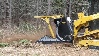 CAT 299D2 XHP with mulcher