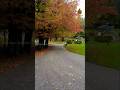 Chasing Autumn's Colors.#autumncolors #fallvibes #nature