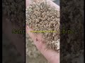 #Sand washing machine#Sand making equipment