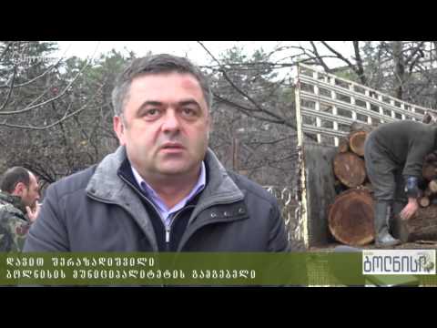 ბოლნისის მუნიციპალიტეტი 175 ოჯახს საშეშე მერქნით დაეხმარება