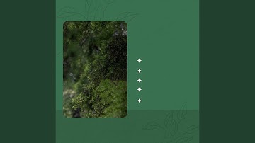 Wonderful Backdrops for Lazy Days