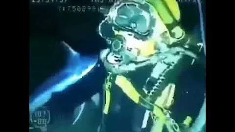 A man gets stabbed in the back by a juvinile swordfish!!