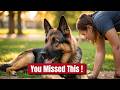 What’s REALLY Special About German Shepherds? (Most Owners Miss This)