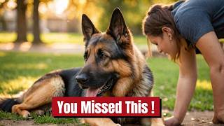 What’s REALLY Special About German Shepherds? (Most Owners Miss This)