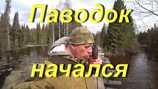 Поездка в таёжный посёлок. Паводок начался. Распаковка посылки 