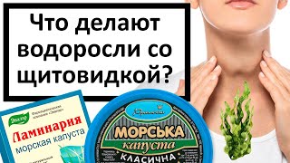 Водоросли: правильный выбор спасет щитовидку и здоровье!