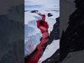 Why Antarctica Has a Blood-Red Waterfall ❄️🩸