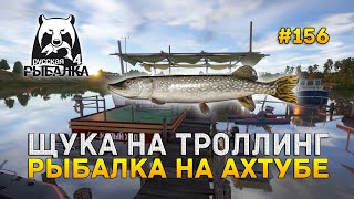 Щука на Троллинг. Рыбалка на Ахтубе - Русская Рыбалка 4 #156