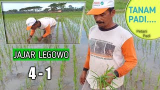 Extension Workers Doubling as Farmers - Jajar Legowo 4 1 Rice Planting System
