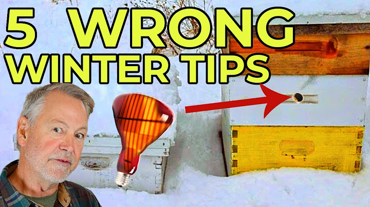 Beekeeping Tips That Are Just Plain Wrong!