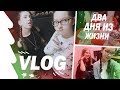 VLOG: два дня из моей жизни // Endge Summer