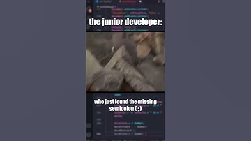 Junior Software Developers when they find a BUG #shorts #programming #coding #memes #software