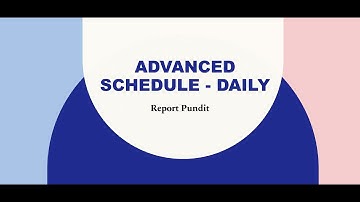Report Pundit Advanced Schedule-Daily