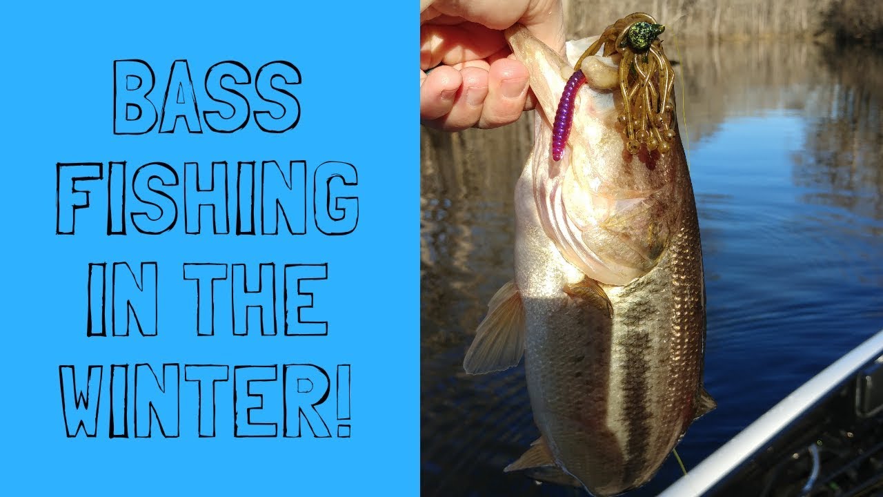 Winter bass fishing YouTube