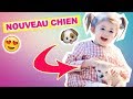 ❥ 704 - NOUVEAU CHIEN ! 😍 | Milababychou Vlog