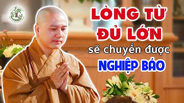 Lòng từ bi đủ lớn sẽ chuyển được mọi NGHIỆP BÁO - Thầy Thích Pháp Hòa (hay quá)